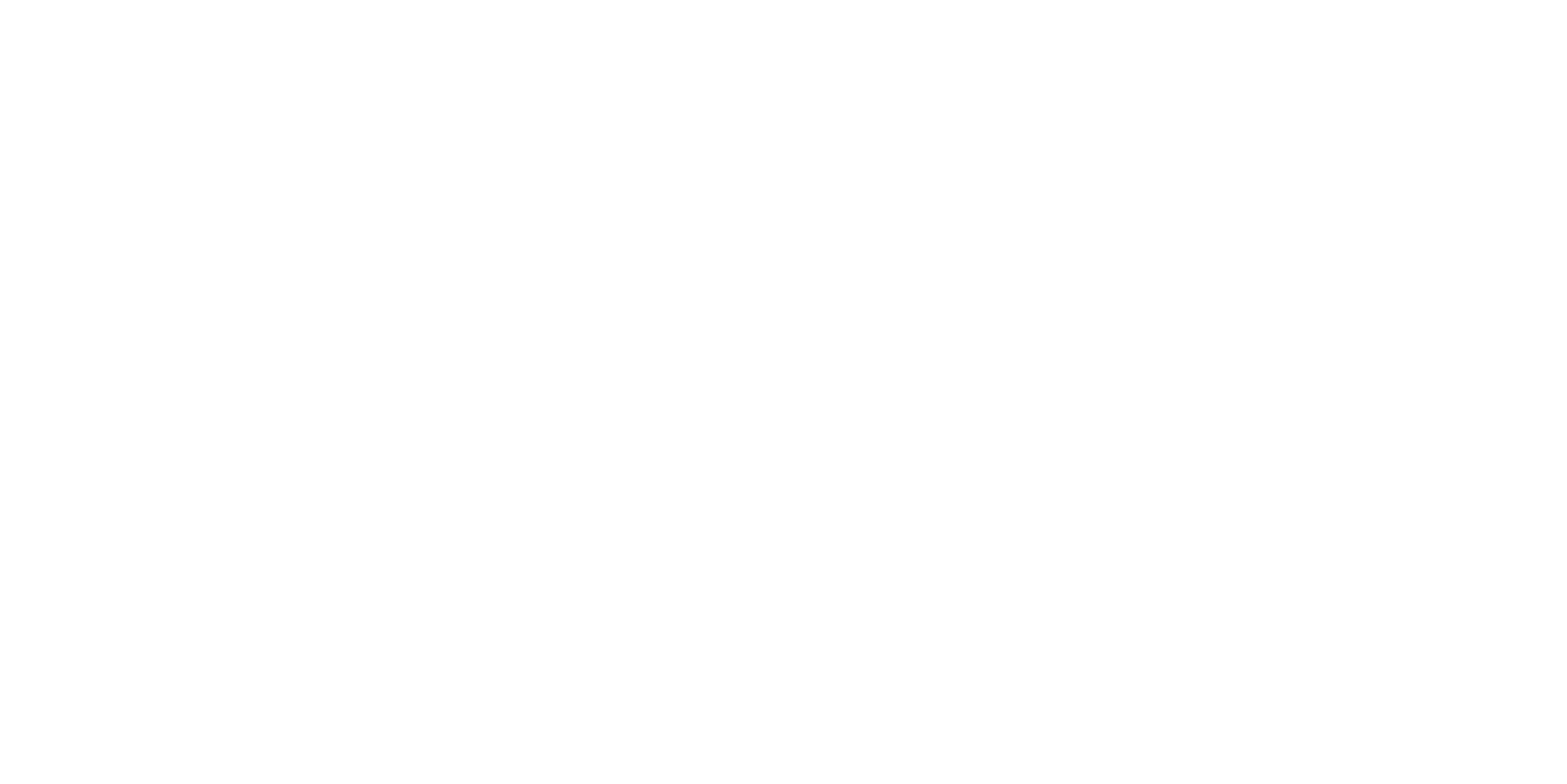 ENARM E-Vantis